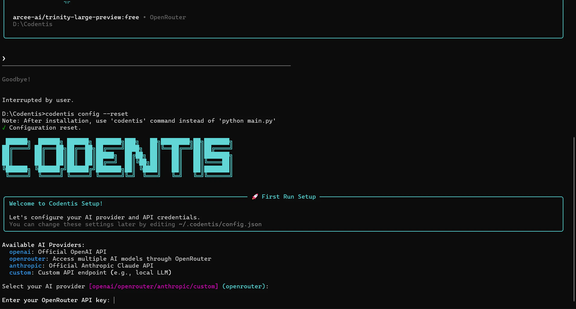Codentis screenshot 2
