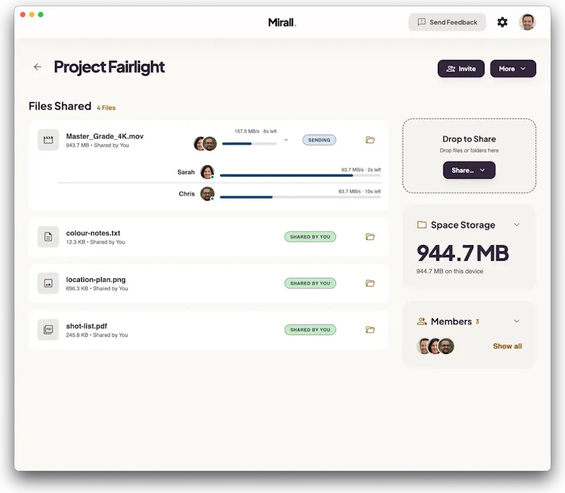 Mirall screenshot 2