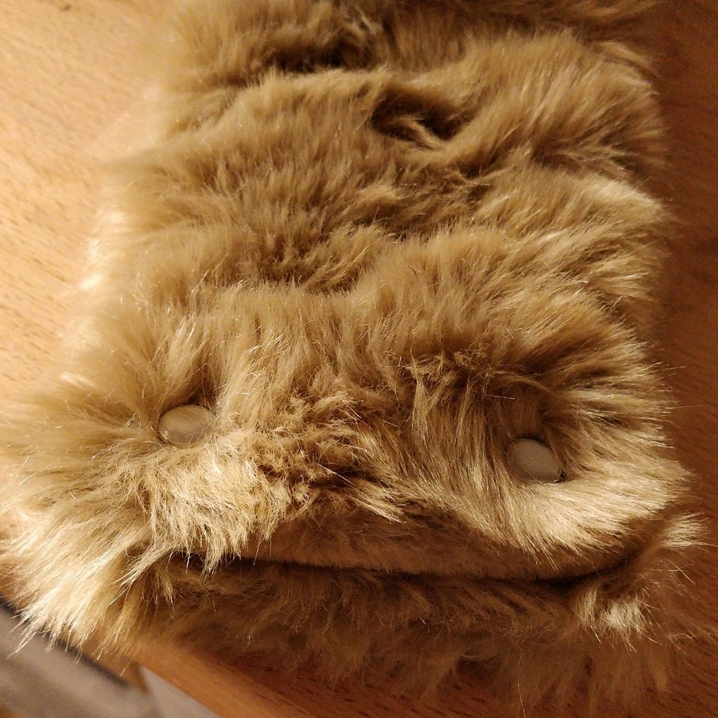 flatcat gallery image