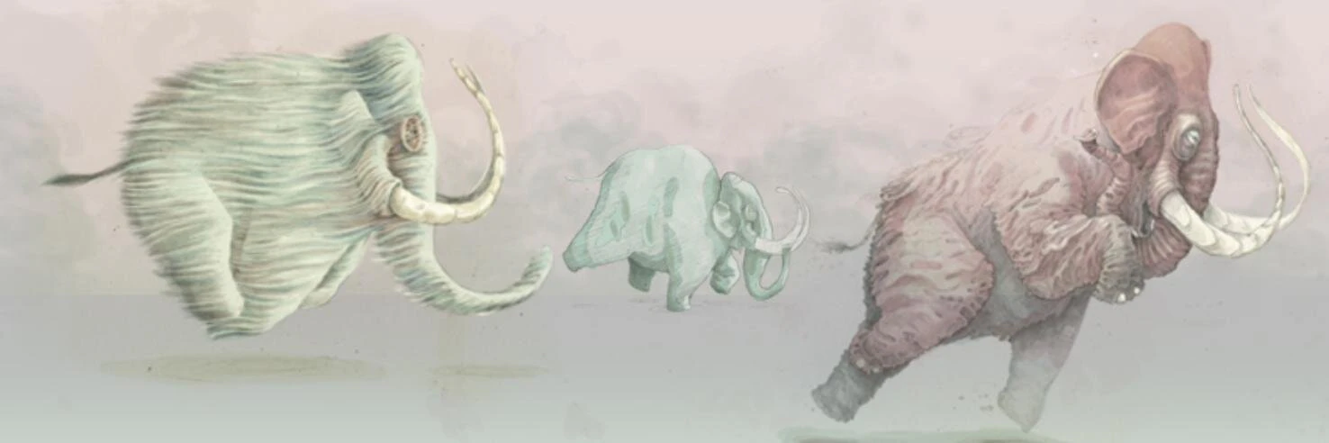 David Heidrich cover