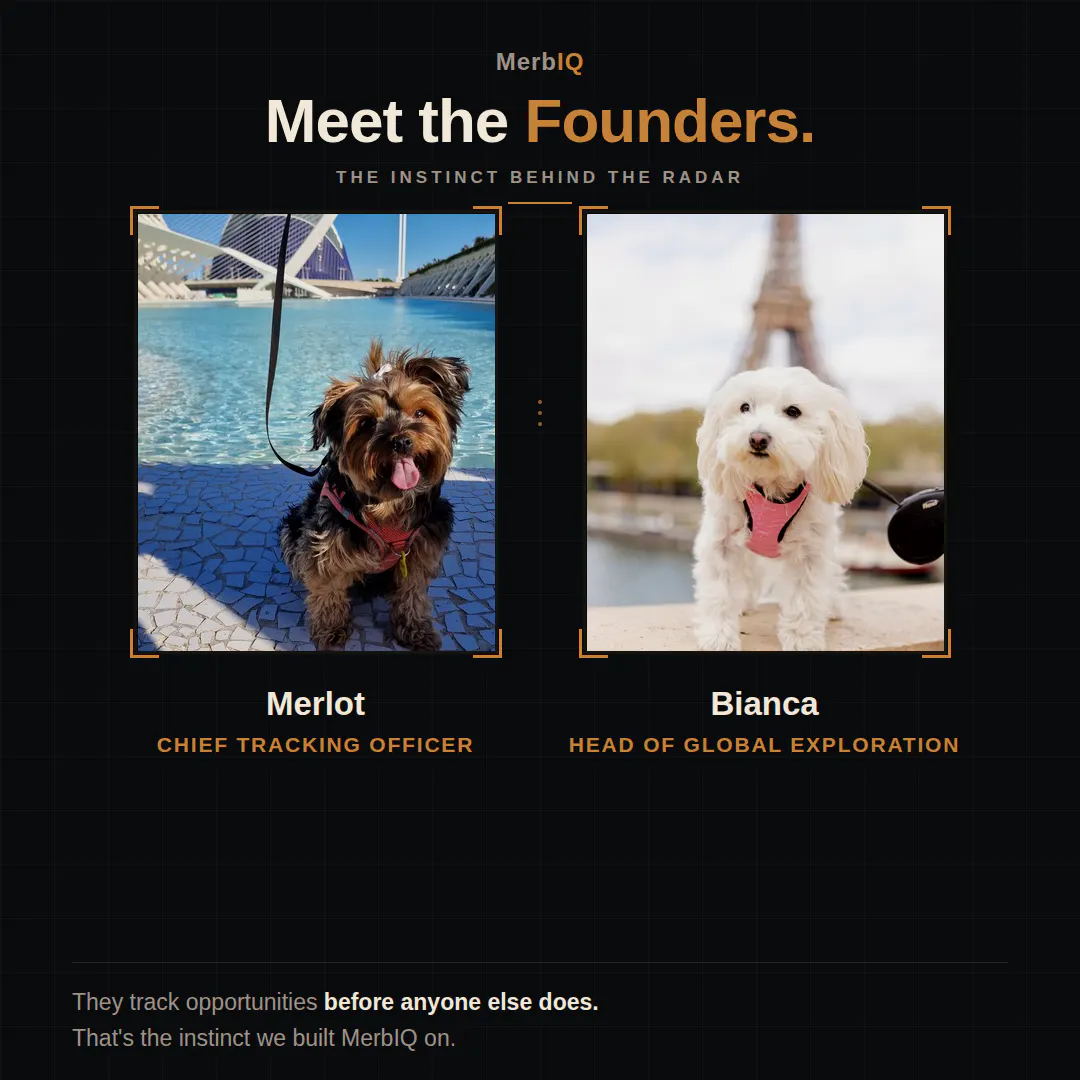 MerbIQ gallery image