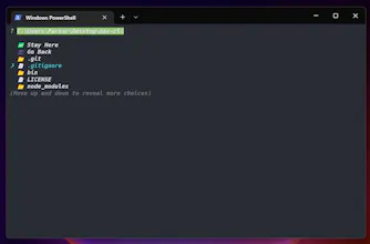 nav-cli gallery image