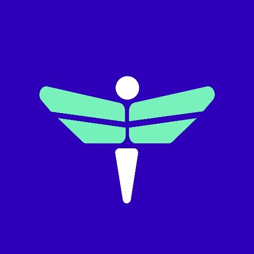 Nomadic Space logo