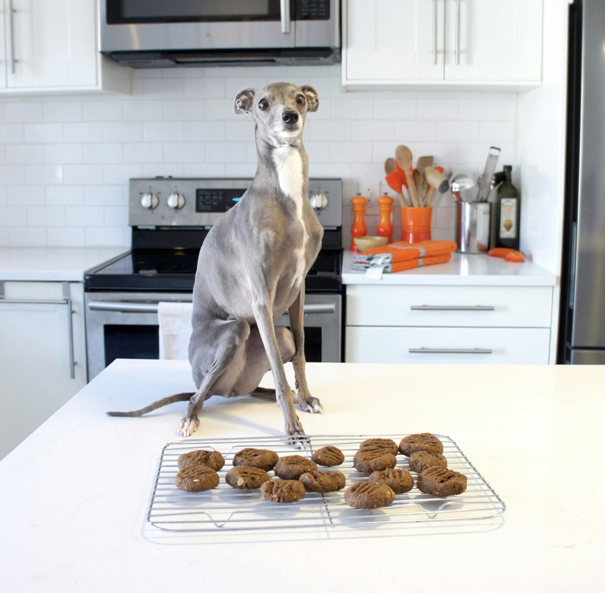 Wagadō gallery image