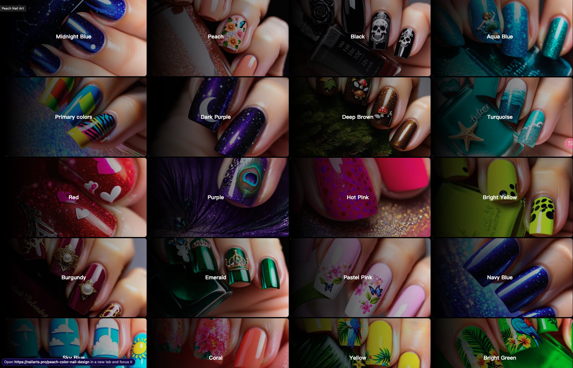 Nail Art Pro media 3