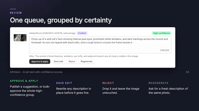 AltVision: AI SEO for Photos screenshot 4