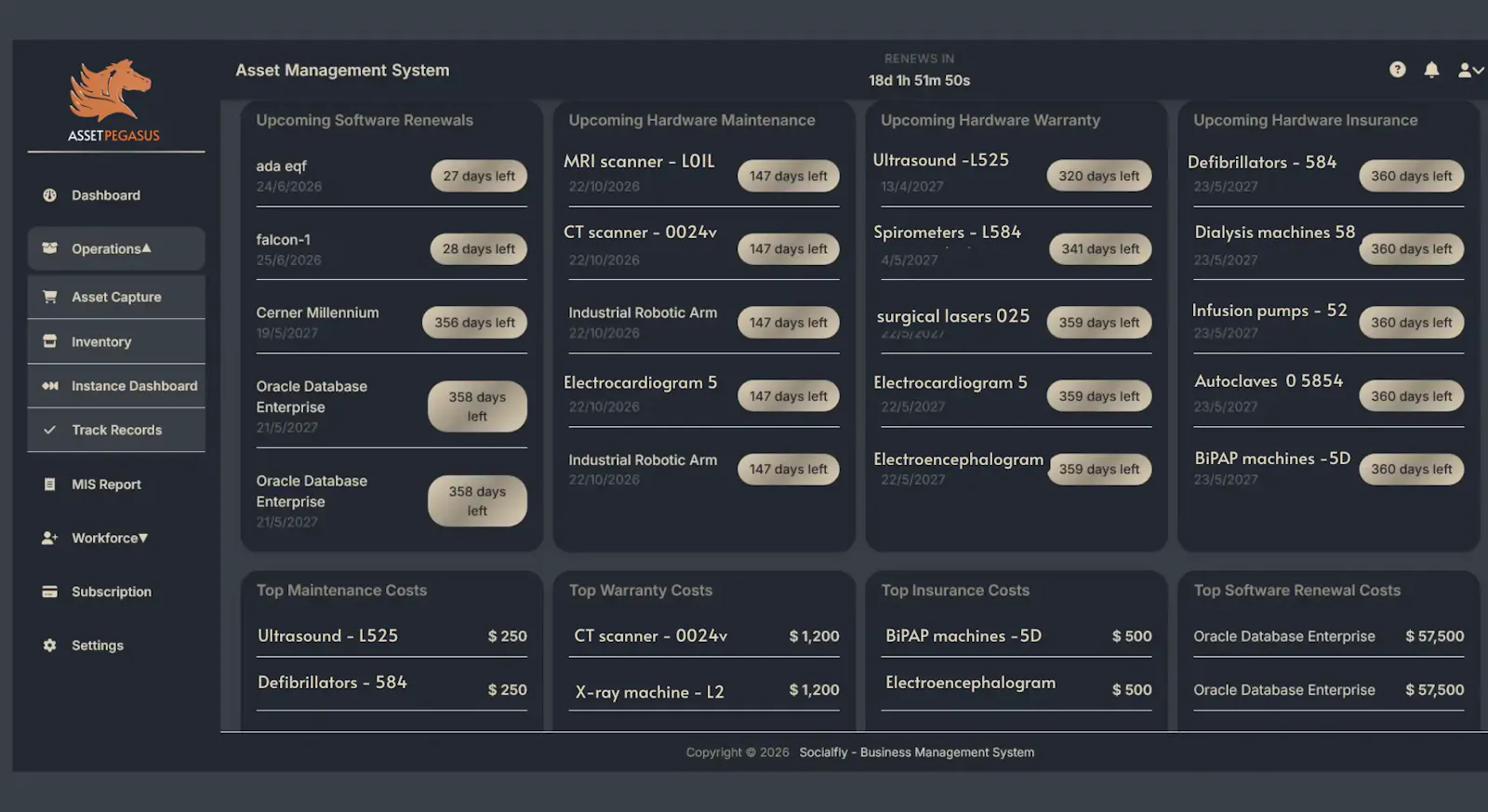 AssetPegasus screenshot 5