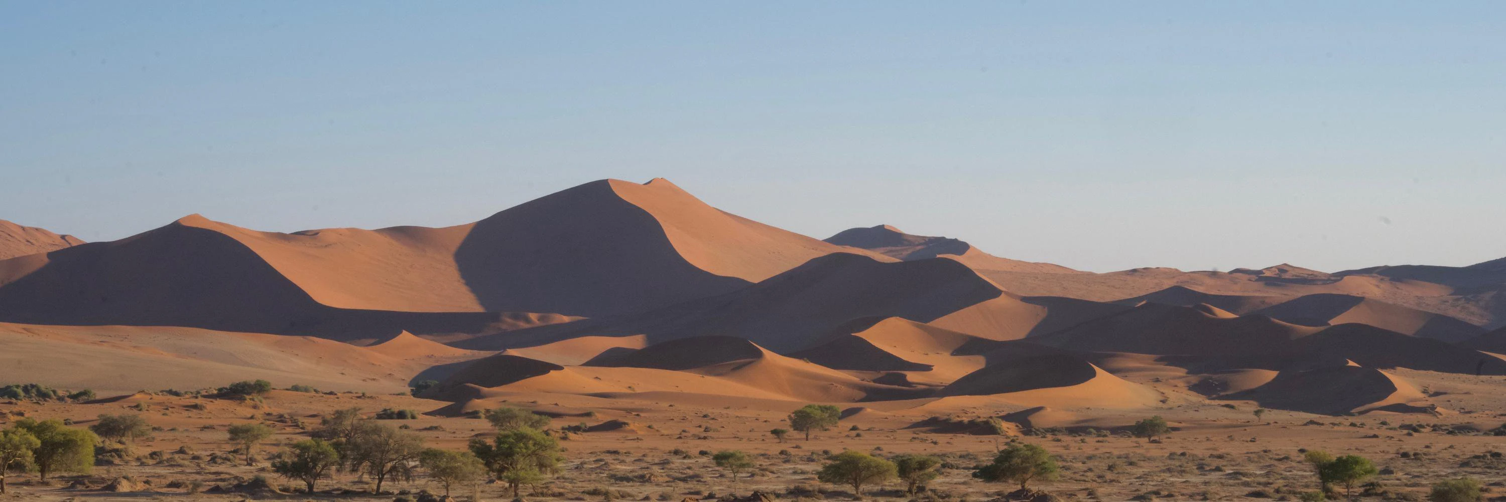 Jacob Mulligan cover