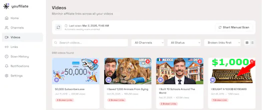 Youfiliate: Fix Dead YouTube Links gallery image