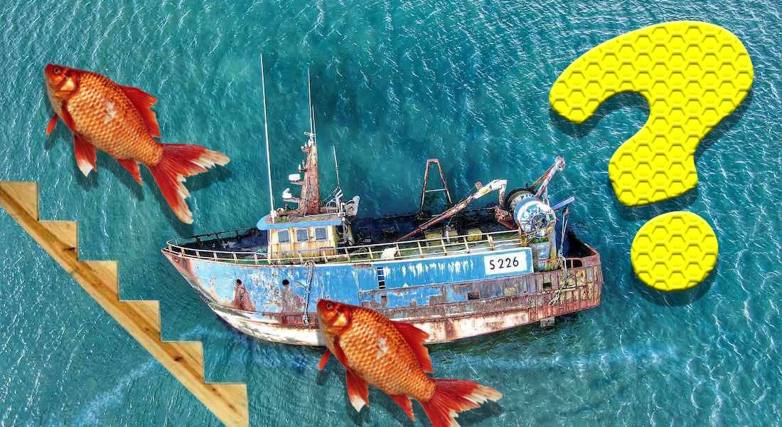 Flutter.Tours gallery image