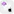 tiiny.host