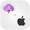 tiiny.host