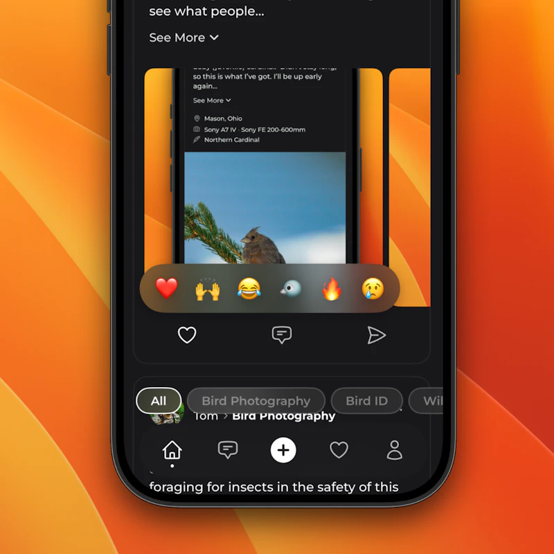 wildbirds screenshot 5