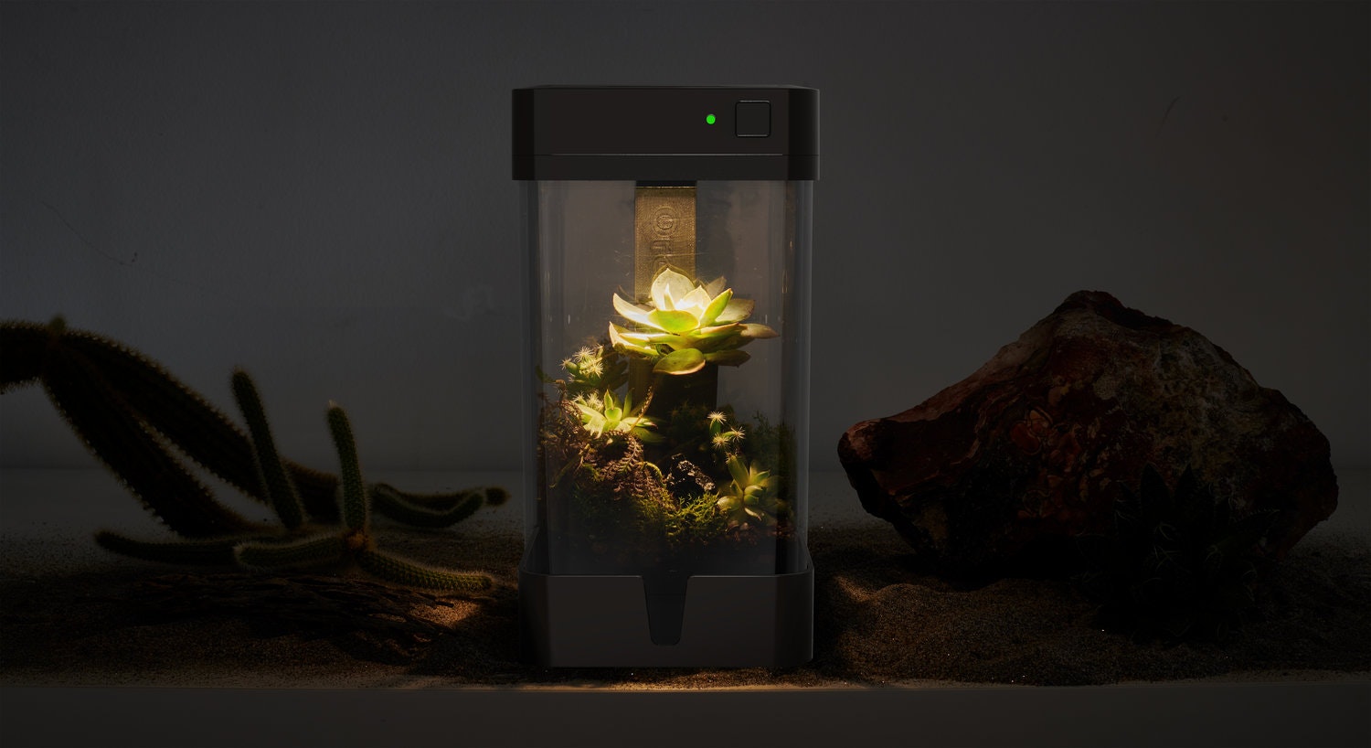OrchidBox Smart Mini Terrarium 🌱 gallery image