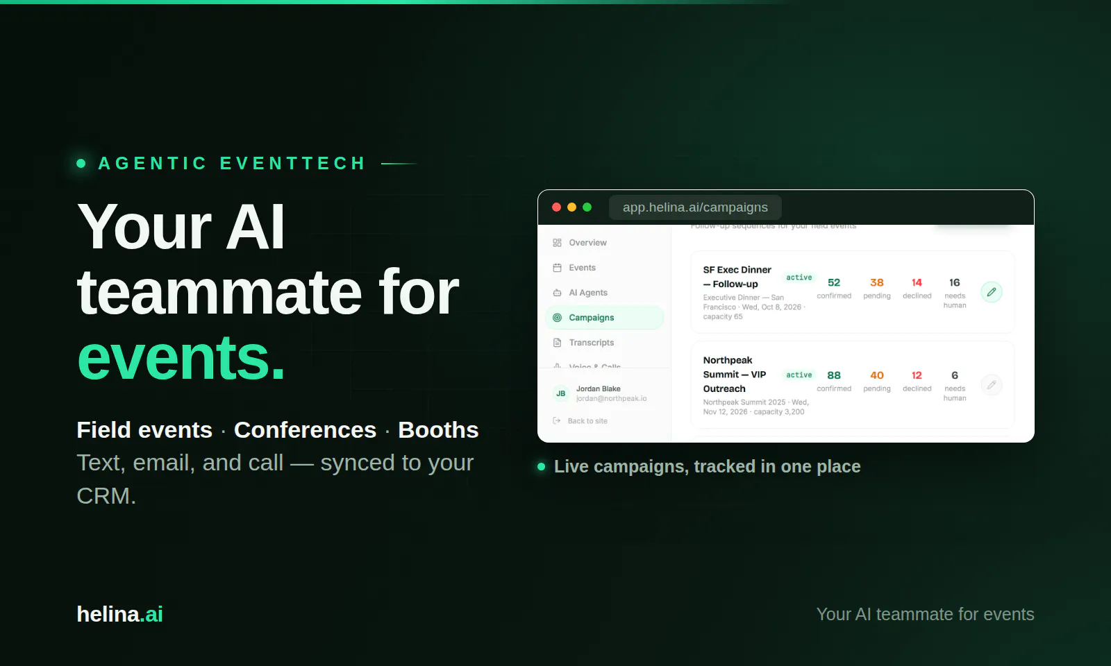 Helina.ai screenshot 1