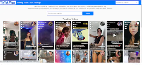 TikTok View Online gallery image