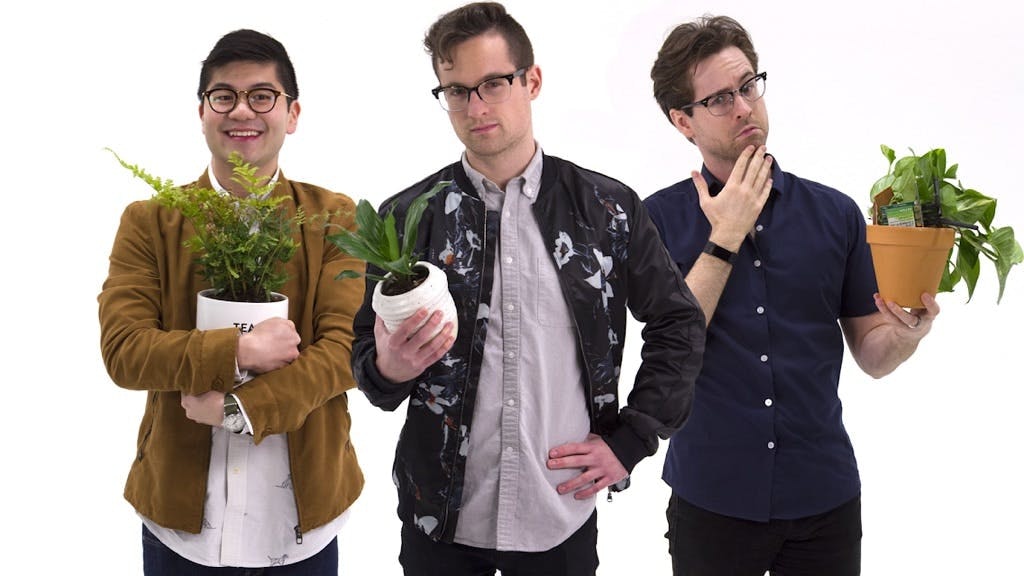 Slightly Browning Fake Plants gallery image