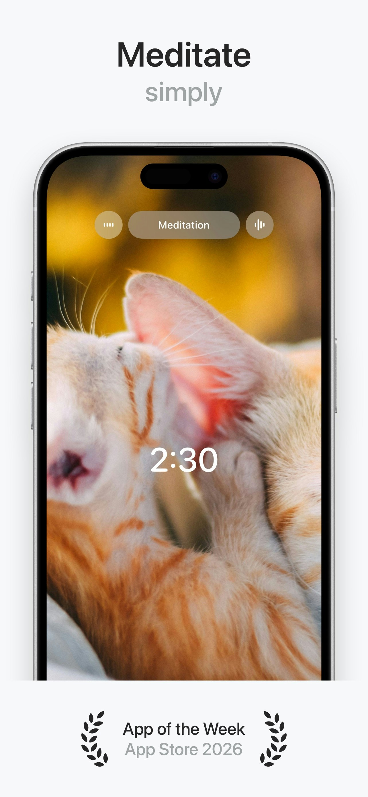 Vagus+ 1.0 gallery image