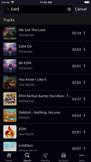 Music Downloader & Player gallery image
