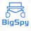 BigSpy - Adspy Tool for Facebook, Google and Pinterest