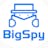 BigSpy - Adspy Tool for Facebook, Google and Pinterest
