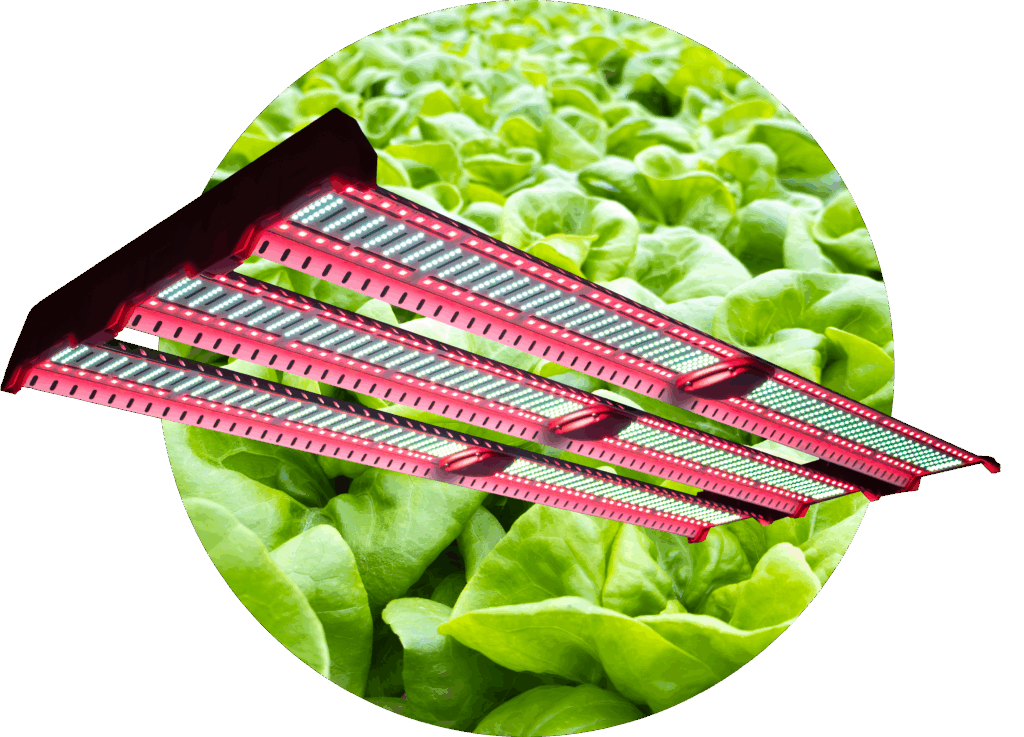 Jumplights® ETS Max Horticultural Light - 동일한 전력에 대한 HPS 고정물의 두 배 미디어 2
