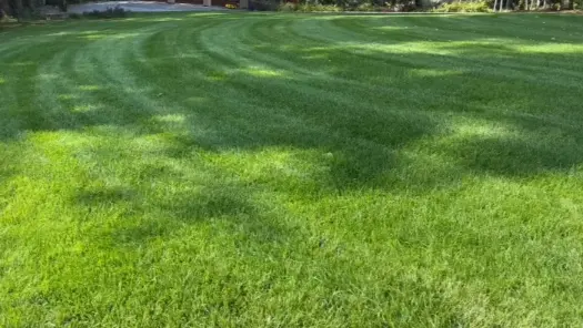 Lawn Care Services gallery image