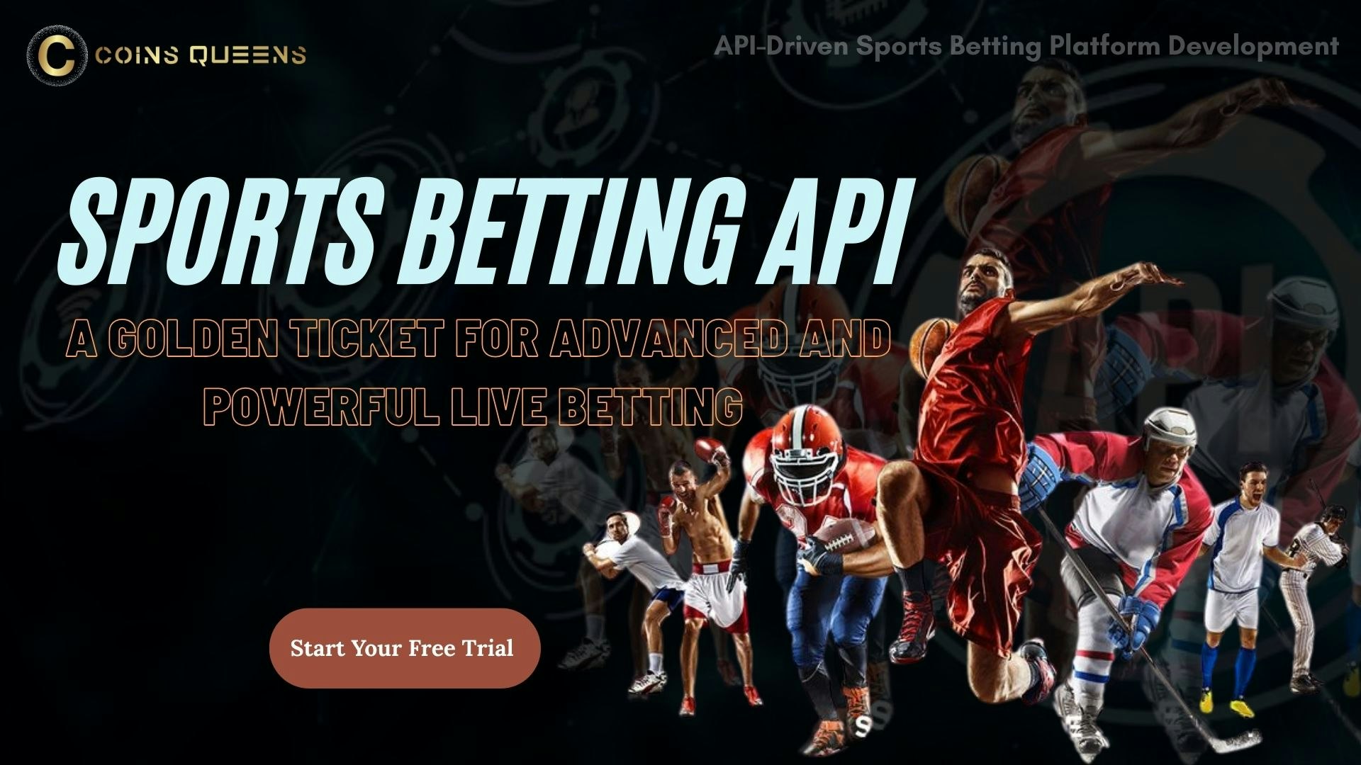 API-Driven Sports Betting Platform  gallery image