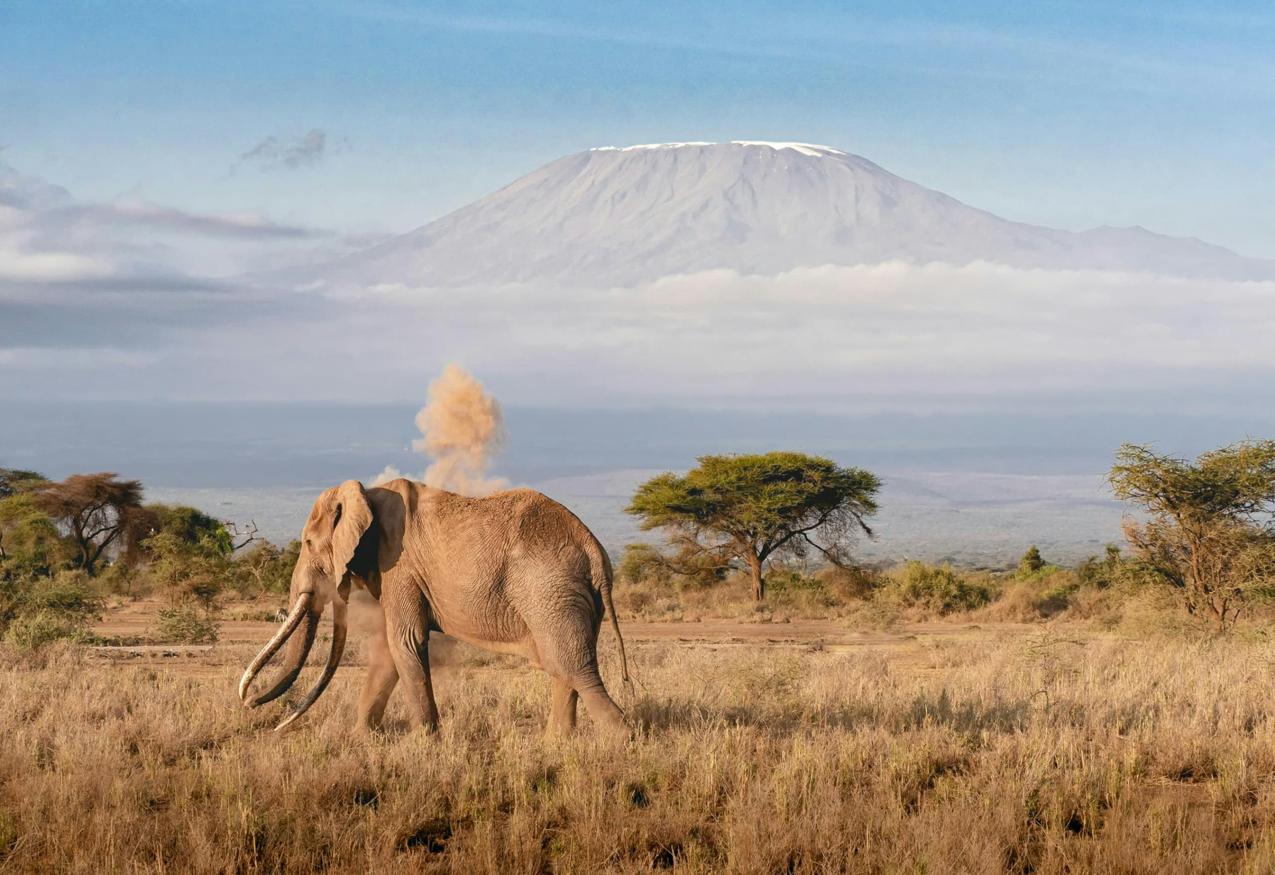 Africantrust Safari gallery image