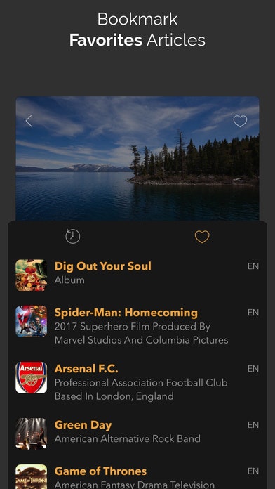 Wikiflow gallery image