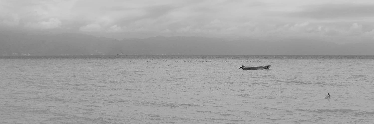 Mauricio Alanis cover