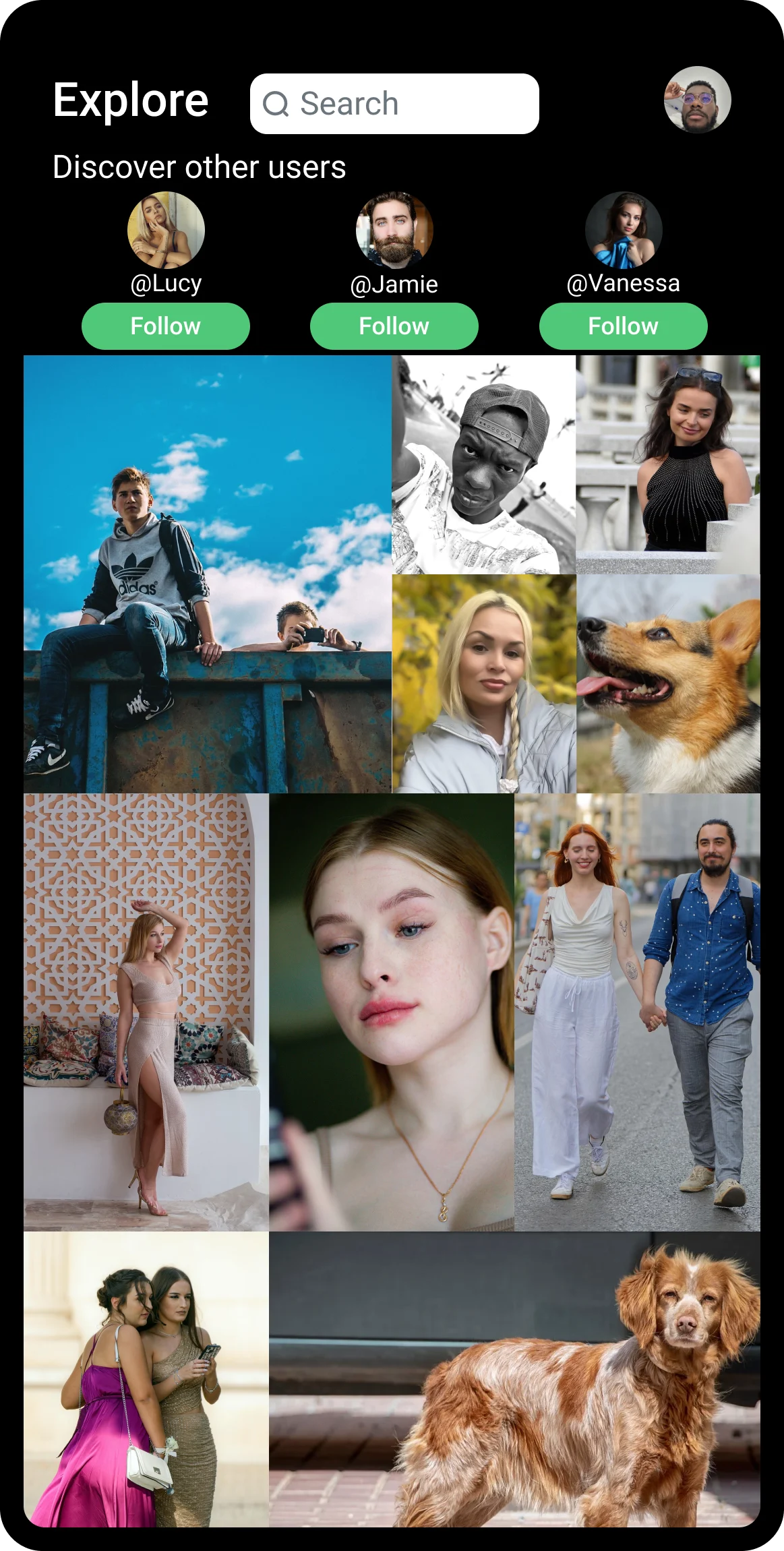 Photofame media 2