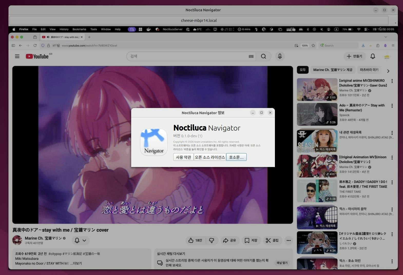 Noctiluca gallery image