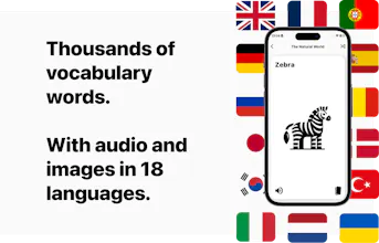 Language Vocabulary Flashcards gallery image