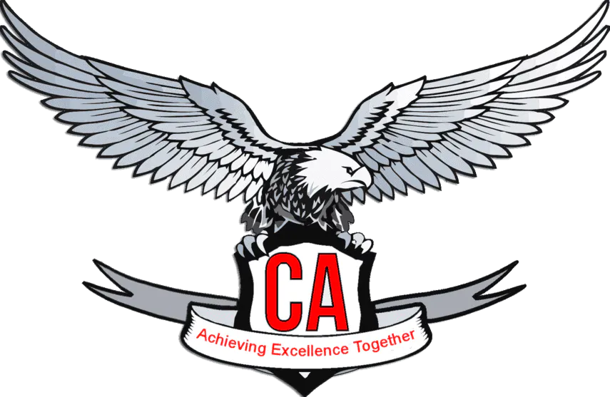 CA Test Series gallery image