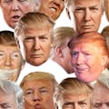 Paint with Donald Trump