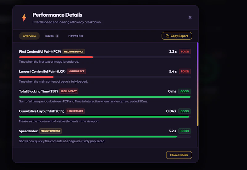 WebCheck Pro screenshot 3