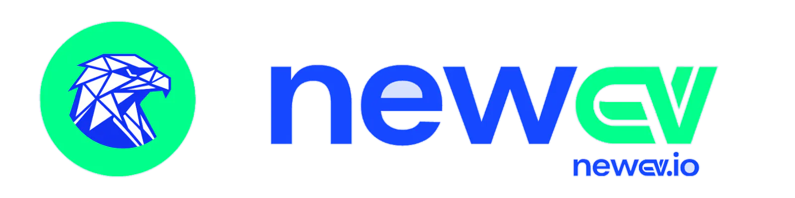 NEWCV.IO screenshot 1
