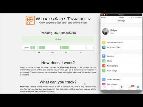 Whatsapp Tracker