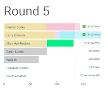 Ranked Choice Voting Visualizations gallery image