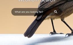 Webvium Browser media 2