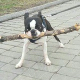 Вадим Кулибаба cover