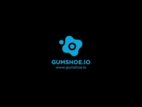Gumshoe.io gallery image