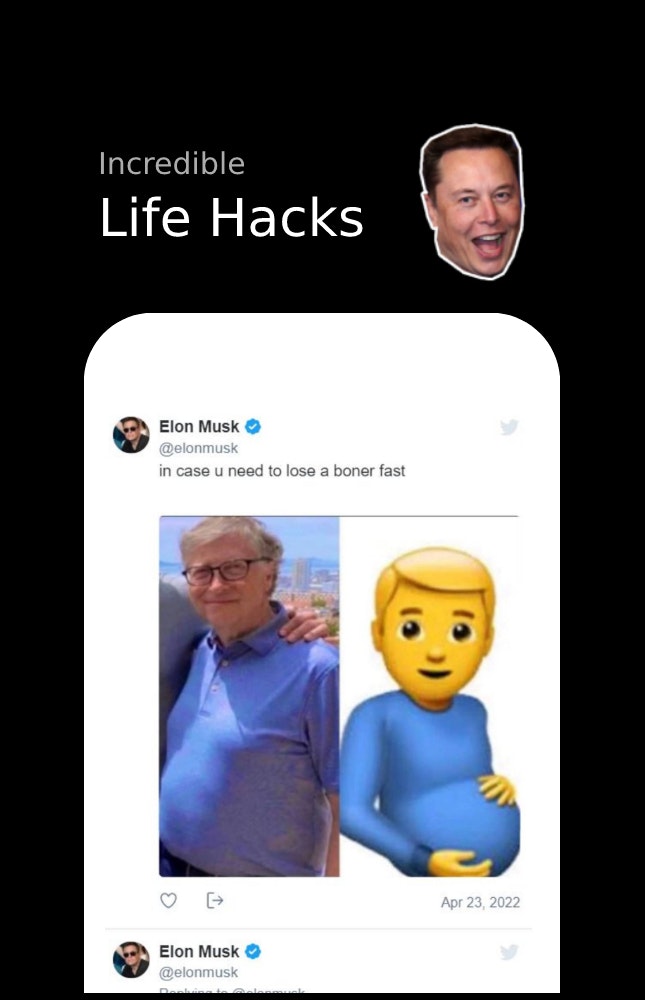 Elon's Shenanigans gallery image