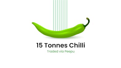 ThinSeed Unlimited Presentation Designs gallery image