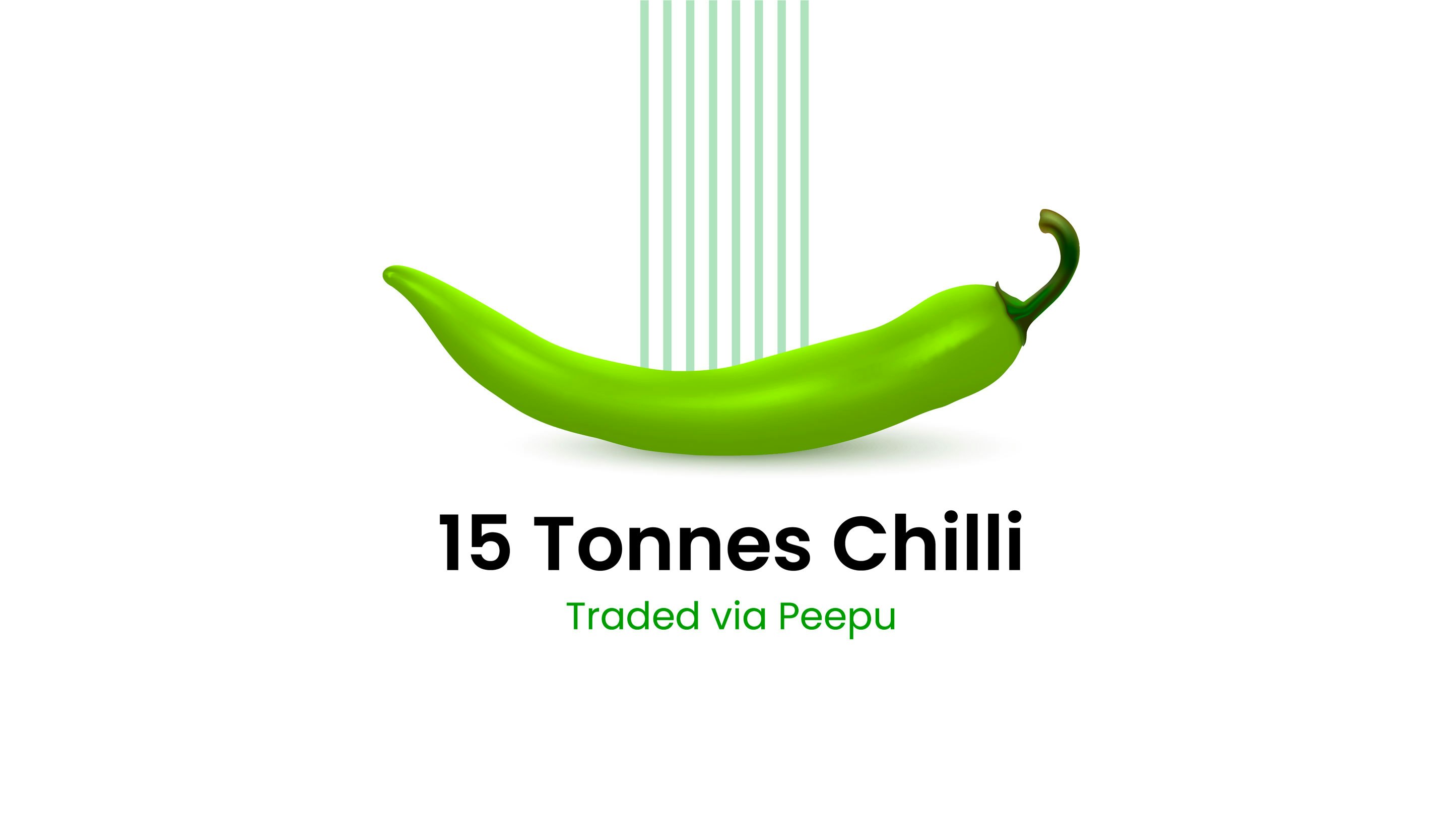 ThinSeed Unlimited Presentation Designs Image