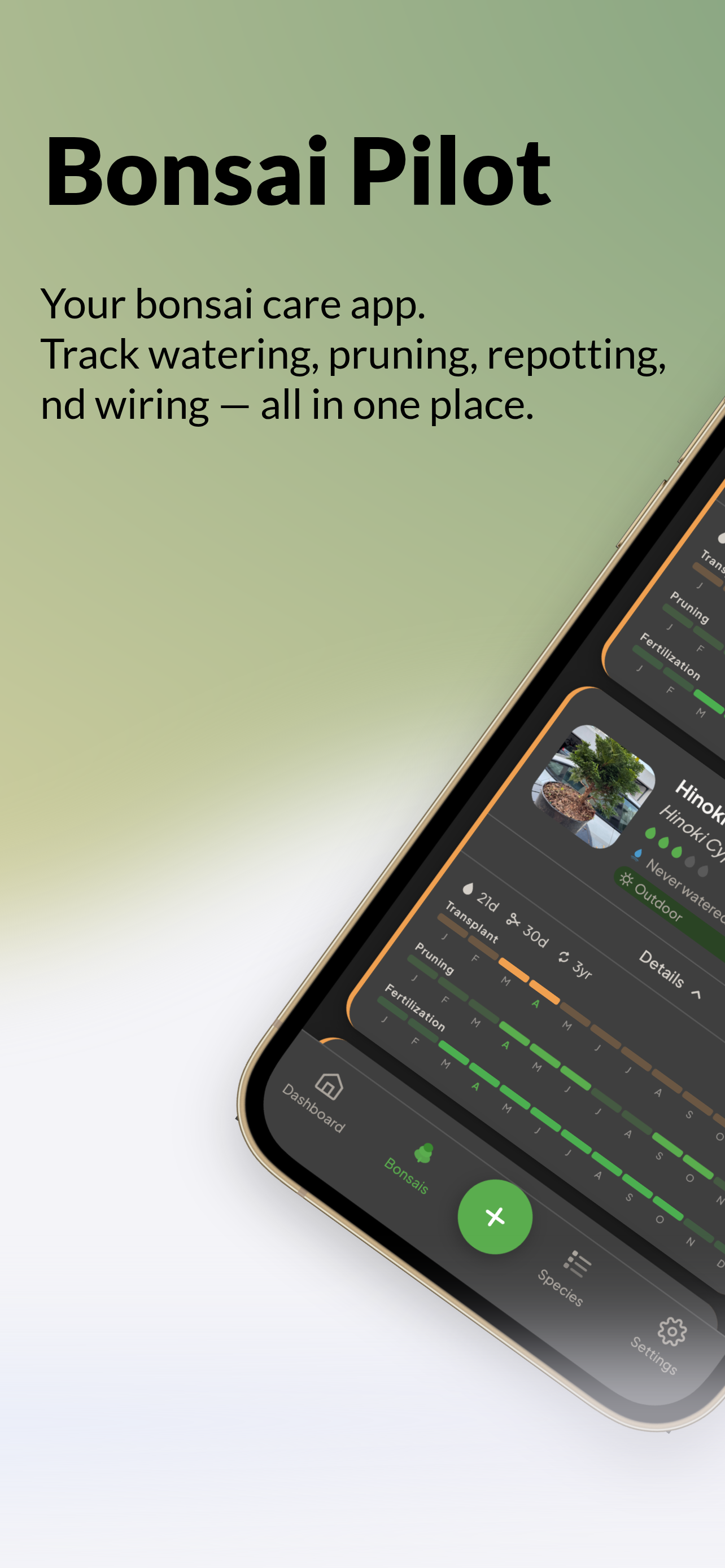 Bonsai Pilot — Bonsai Care Tracker gallery image