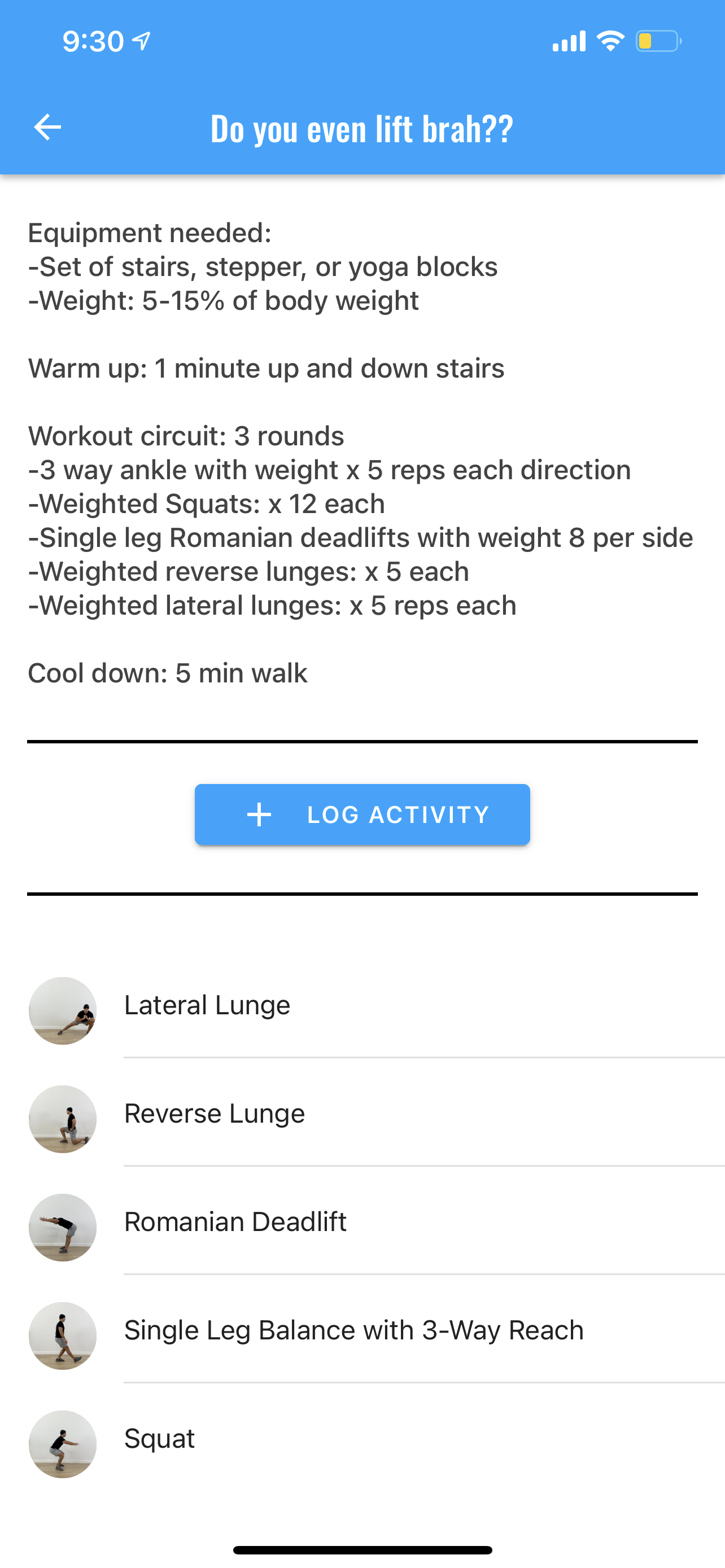 Ski PT - Pre-hab for improved technique and injury prevention. media 4