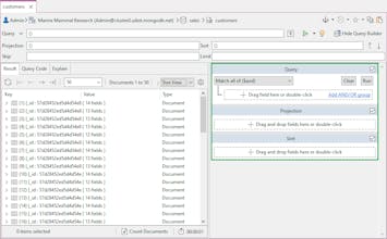 Studio 3T gallery image