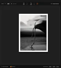 Monochrome Lab for macOS gallery image